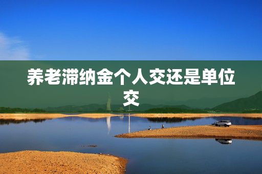 养老滞纳金个人交还是单位交