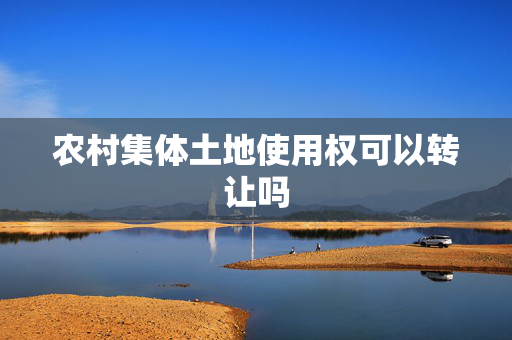 农村集体土地使用权可以转让吗