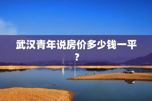 武汉青年说房价多少钱一平？