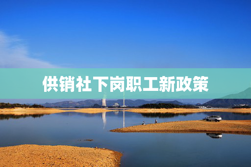 供销社下岗职工新政策