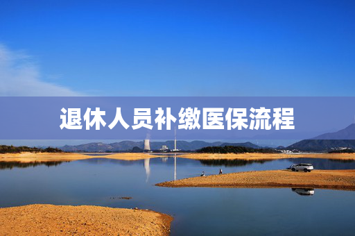 退休人员补缴医保流程