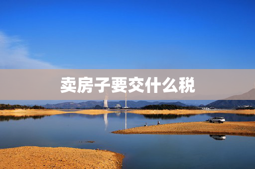 卖房子要交什么税