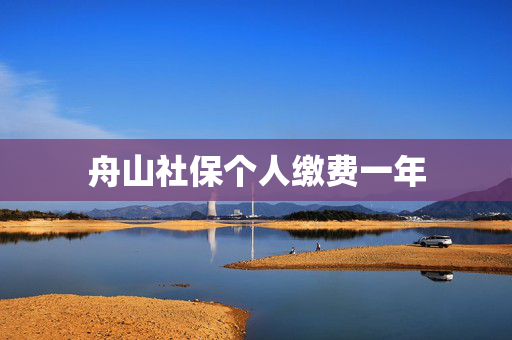 舟山社保个人缴费一年