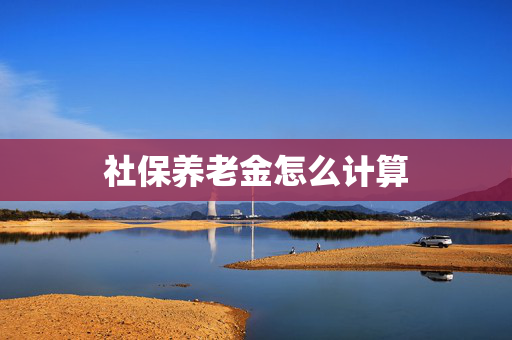 社保养老金怎么计算