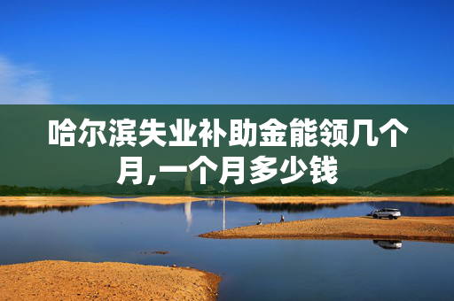哈尔滨失业补助金能领几个月,一个月多少钱