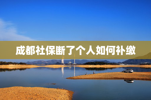 成都社保断了个人如何补缴