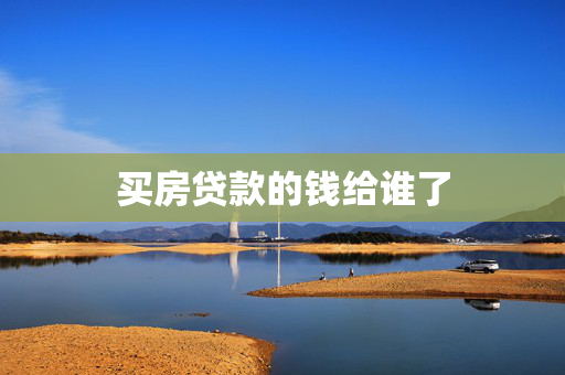 买房贷款的钱给谁了