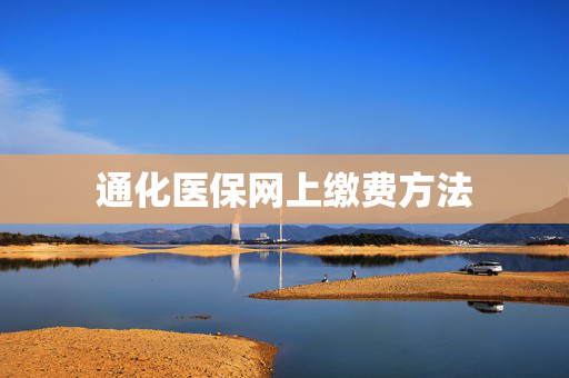 通化医保网上缴费方法