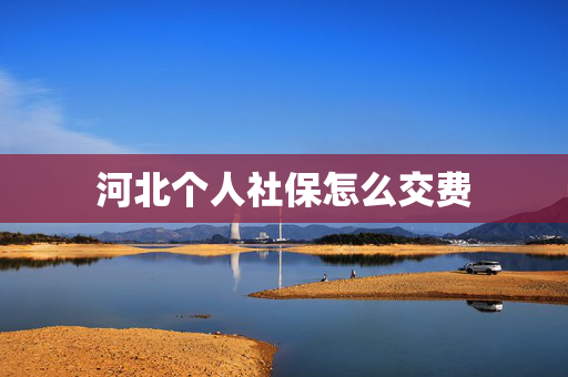 河北个人社保怎么交费