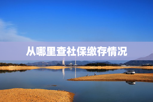 从哪里查社保缴存情况