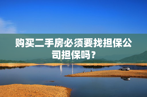购买二手房必须要找担保公司担保吗？