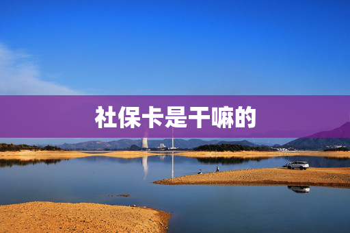 社保卡是干嘛的
