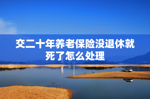交二十年养老保险没退休就死了怎么处理
