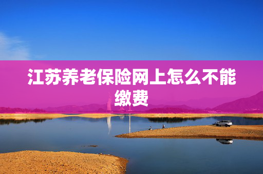 江苏养老保险网上怎么不能缴费