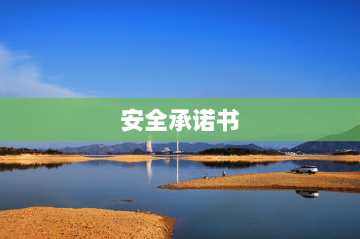 安全承诺书
