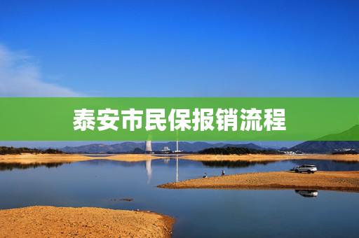 泰安市民保报销流程