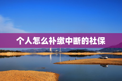 个人怎么补缴中断的社保