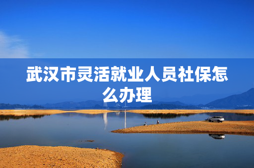 武汉市灵活就业人员社保怎么办理