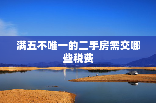 满五不唯一的二手房需交哪些税费