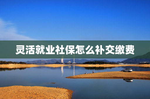 灵活就业社保怎么补交缴费