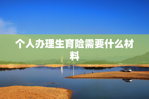 个人办理生育险需要什么材料