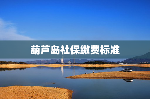 葫芦岛社保缴费标准