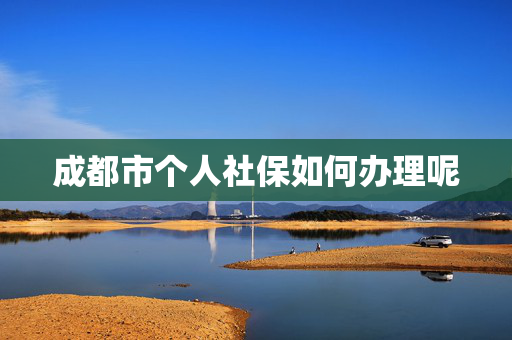 成都市个人社保如何办理呢