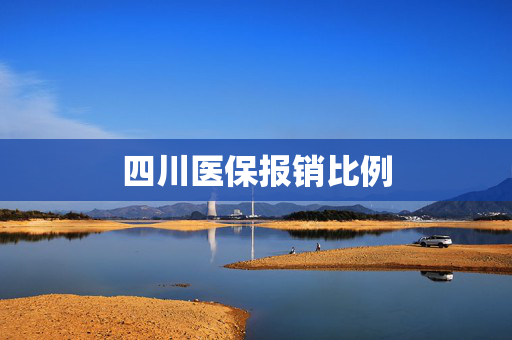四川医保报销比例