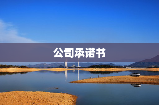 公司承诺书