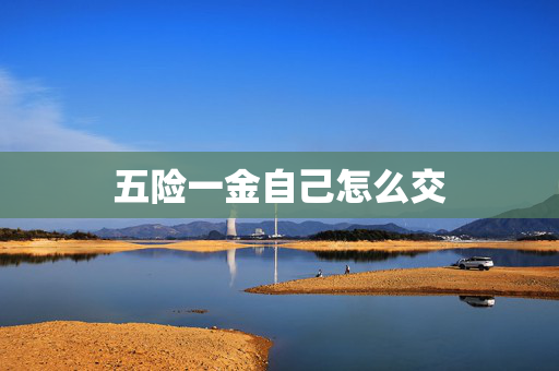 五险一金自己怎么交