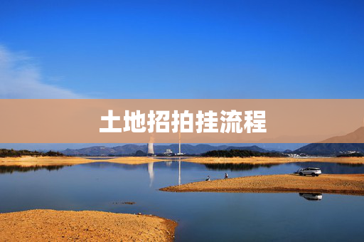 土地招拍挂流程