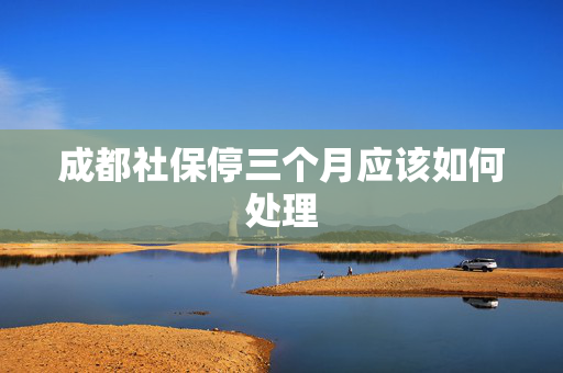 成都社保停三个月应该如何处理