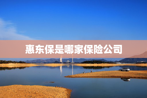 惠东保是哪家保险公司