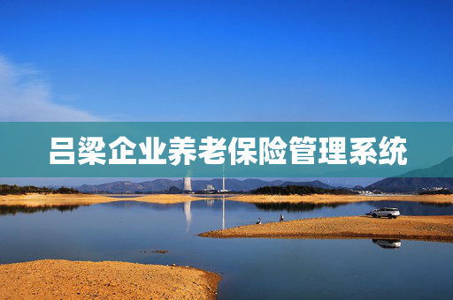 吕梁企业养老保险管理系统