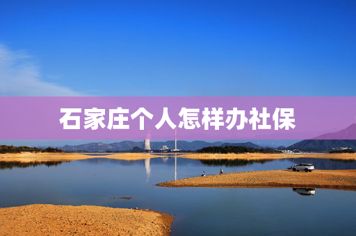 石家庄个人怎样办社保