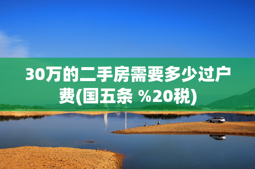 30万的二手房需要多少过户费(国五条 %20税)