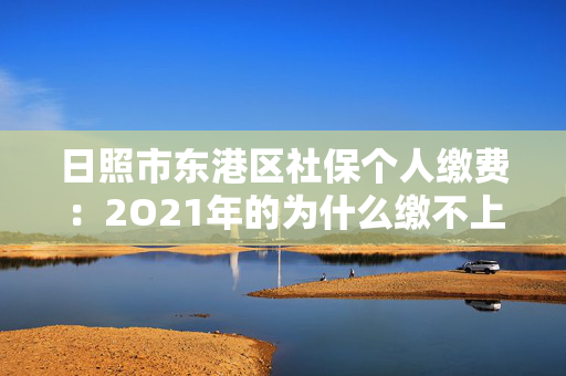 日照市东港区社保个人缴费：2O21年的为什么缴不上。