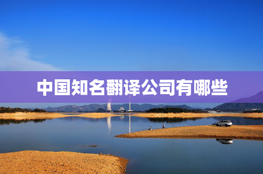 中国知名翻译公司有哪些