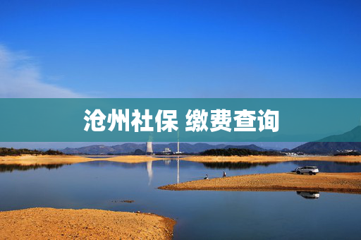 沧州社保 缴费查询
