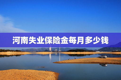 河南失业保险金每月多少钱