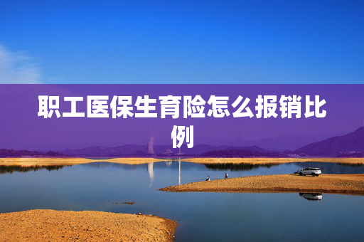 职工医保生育险怎么报销比例