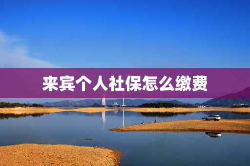 来宾个人社保怎么缴费