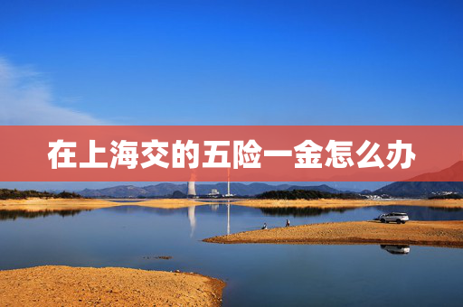 在上海交的五险一金怎么办