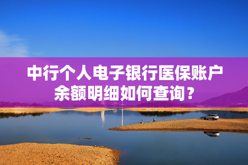 中行个人电子银行医保账户余额明细如何查询？