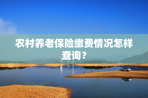 农村养老保险缴费情况怎样查询？