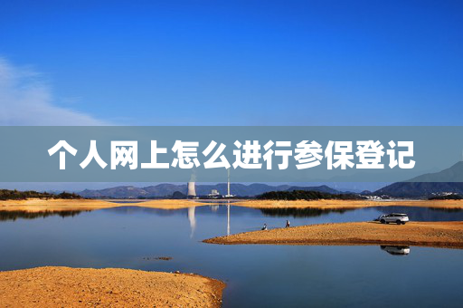 个人网上怎么进行参保登记