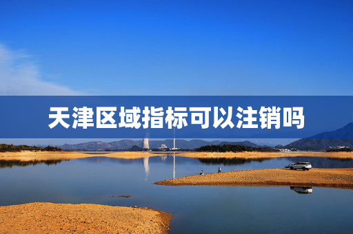 天津区域指标可以注销吗