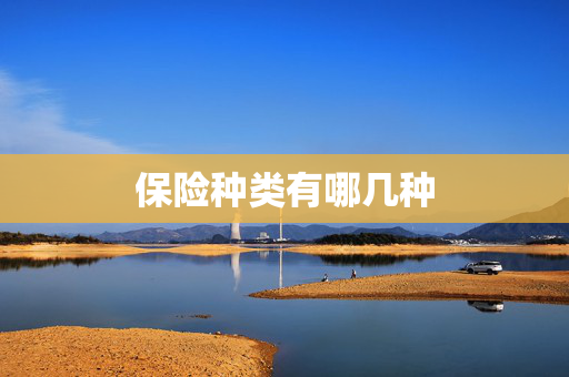 保险种类有哪几种