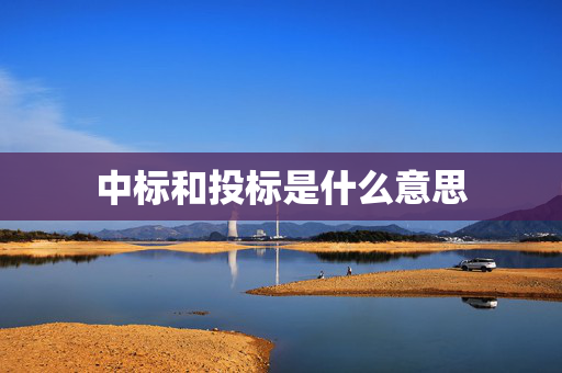 中标和投标是什么意思