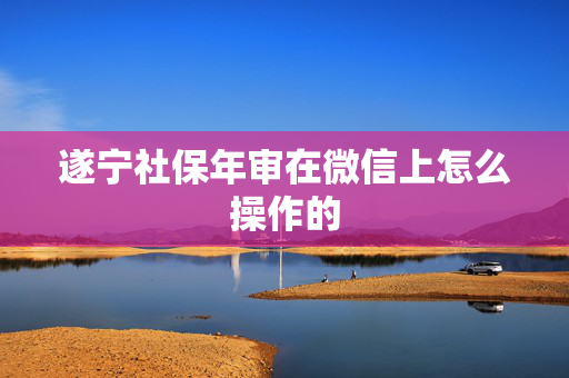 遂宁社保年审在微信上怎么操作的